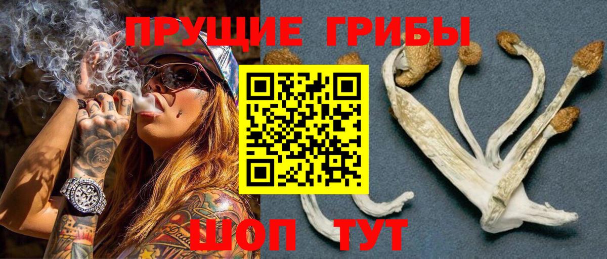 Галлюциногенные грибы MAGIC MUSHROOMS Югорск